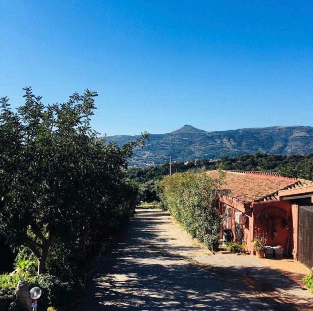 Agriturismo Su Barraccu Villa Loceri Exterior foto