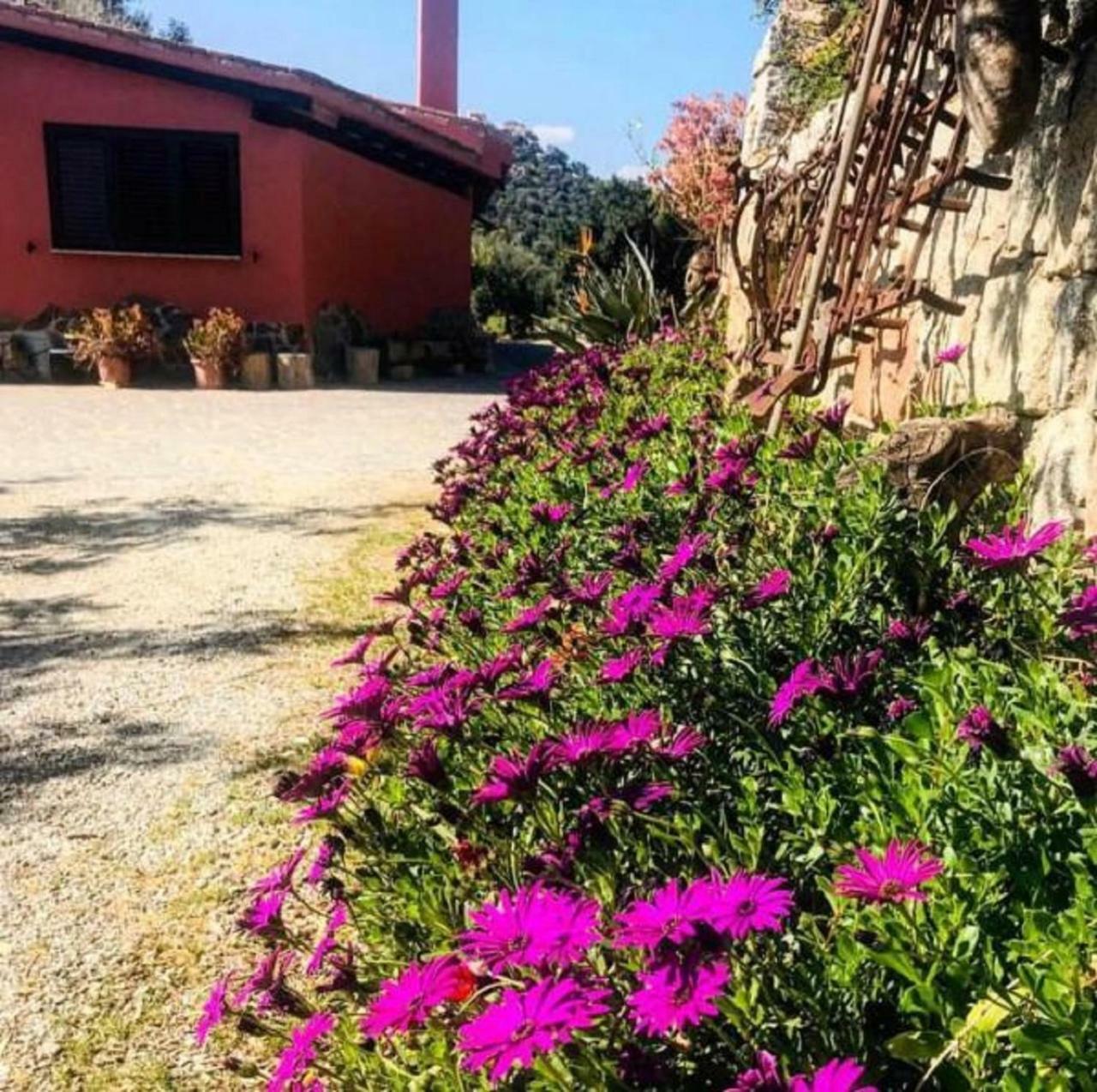 Agriturismo Su Barraccu Villa Loceri Exterior foto